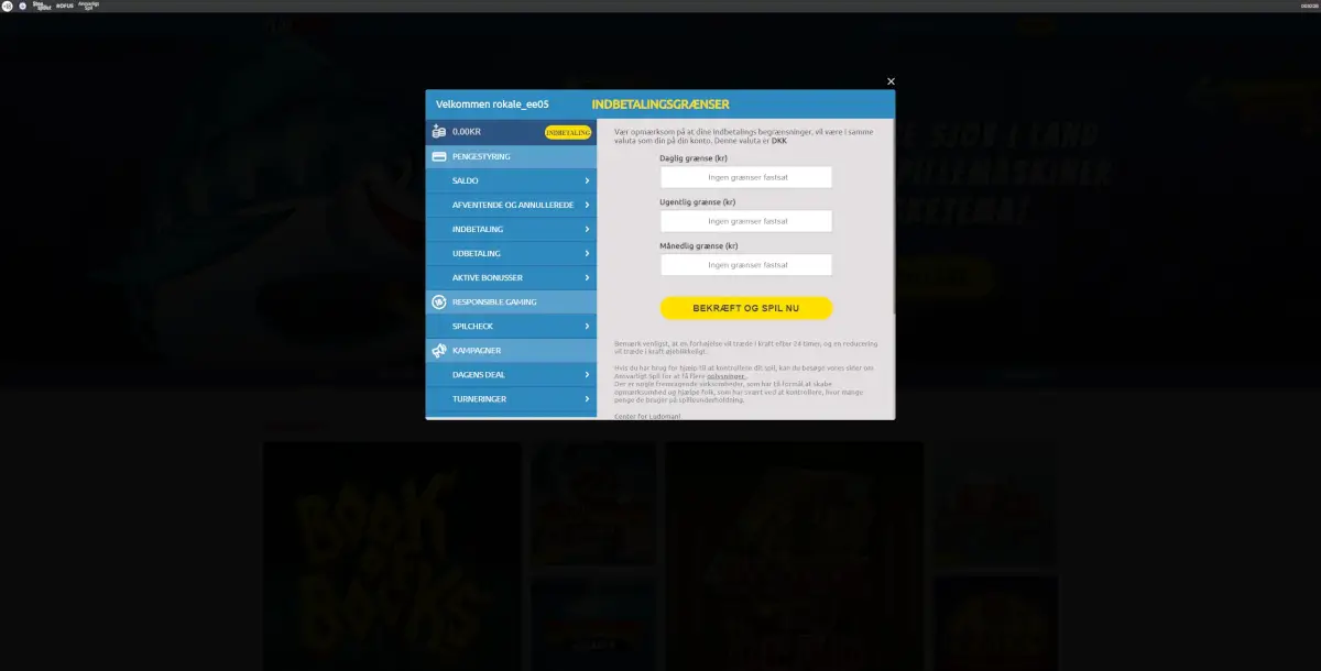den indbetalingsgrænse, du vil sætte for dig selv for de give perioder.