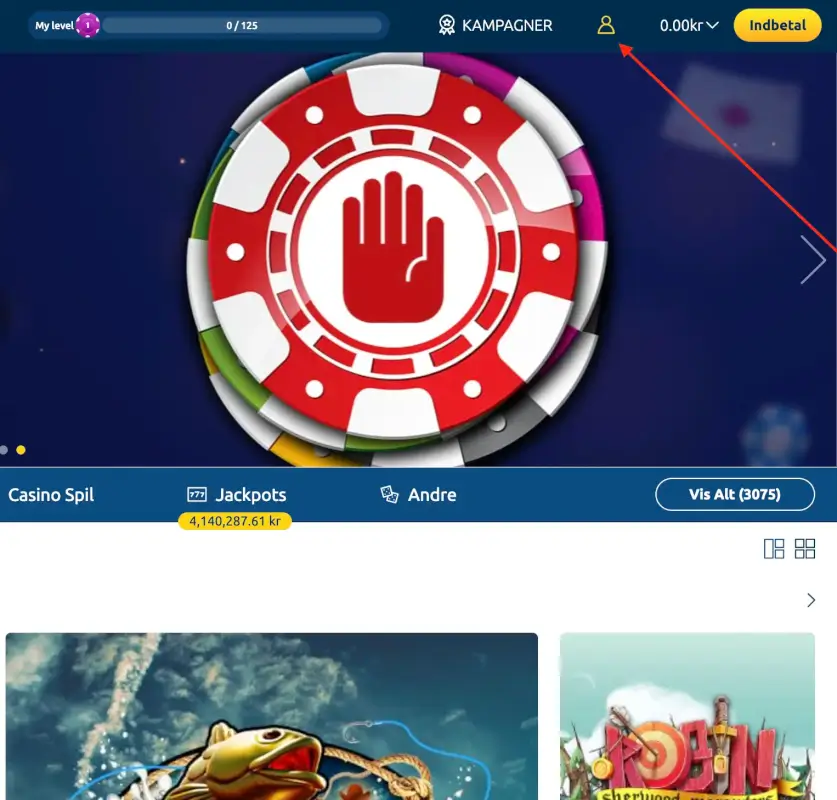 Tryk på brugerikonet i toppen af siden, for at finde og redigere dine stamoplysninger hos PlayToro.