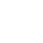 bank-transfer-white Logo