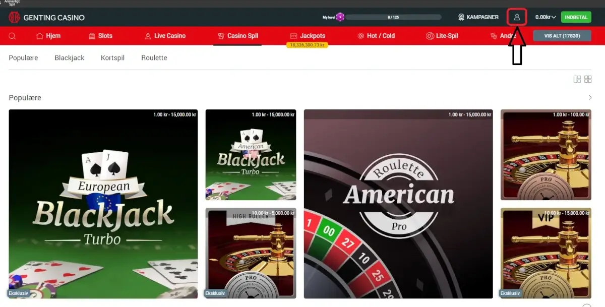 Spillerprofil hos online casino.