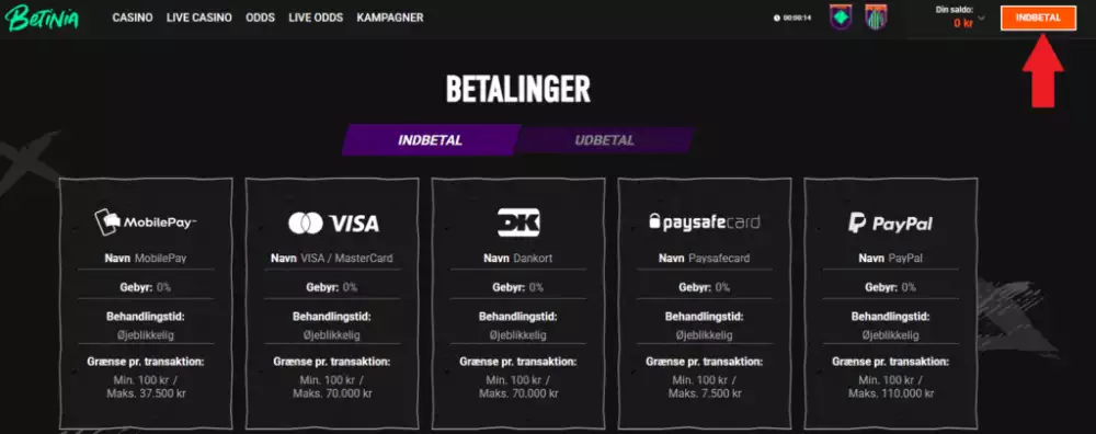 Zimpler, første indbetaling.